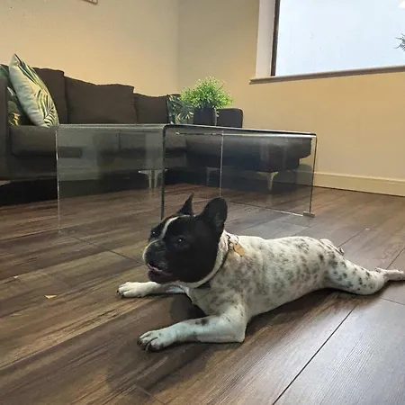 Five Ways Pet-friendly 1bed With Parking, Monthly Welcome