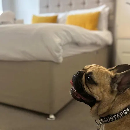 Five Ways Pet-friendly 1bed With Parking, Monthly Welcome Apartment